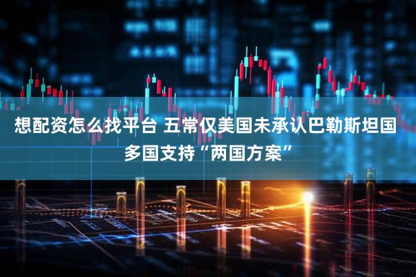 想配资怎么找平台 五常仅美国未承认巴勒斯坦国 多国支持“两国方案”